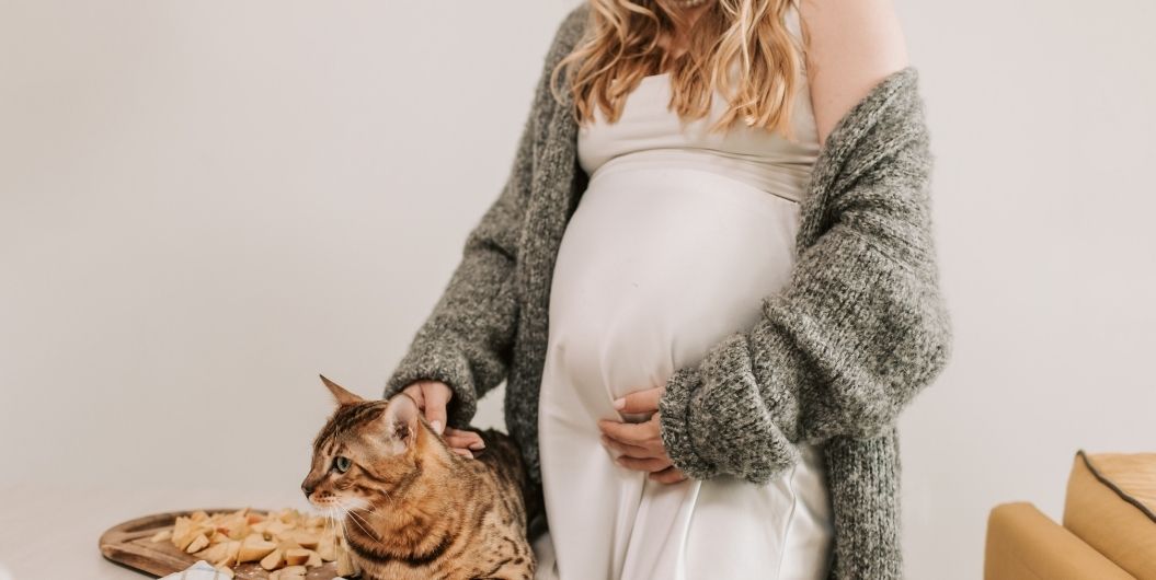 pregnant woman with cat