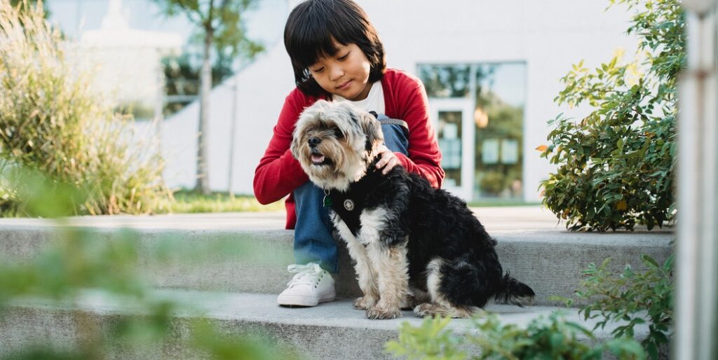 child with dog